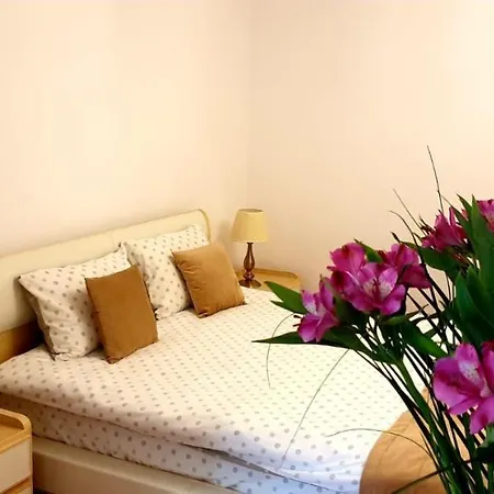 Brasov Studio Braşov