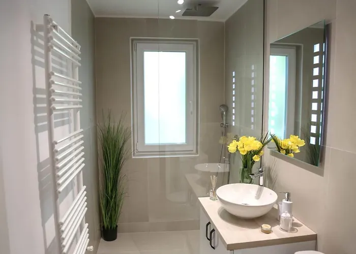 Brasov Studio * Braşov